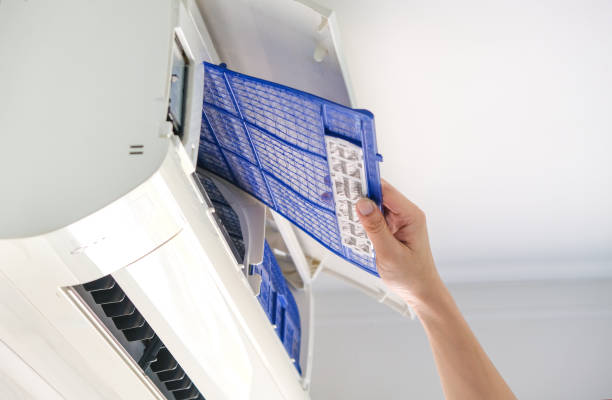 Best Local Air Duct Cleaning Services  in Lawson, MO